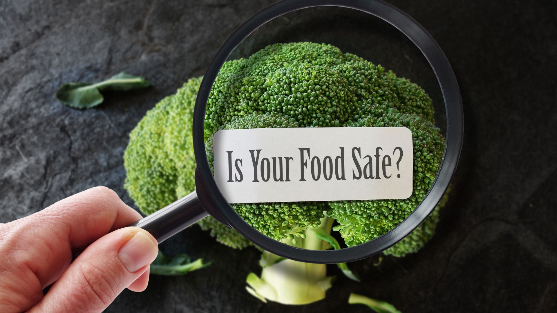 Food Poisoning and Your Family